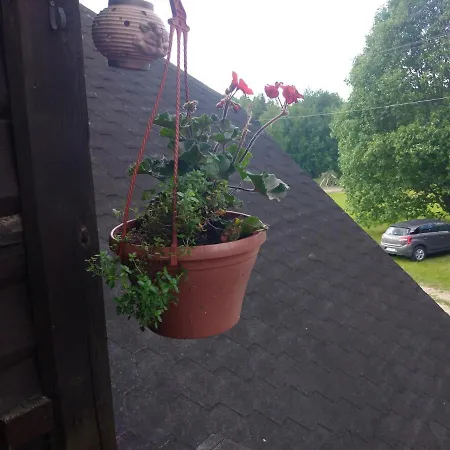 Lili's Holiday House Holiday home