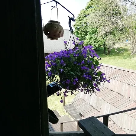 Holiday home Lili's Holiday House *