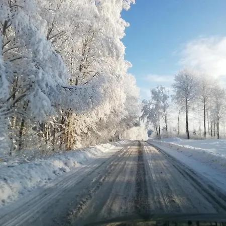 Lili's Holiday House *