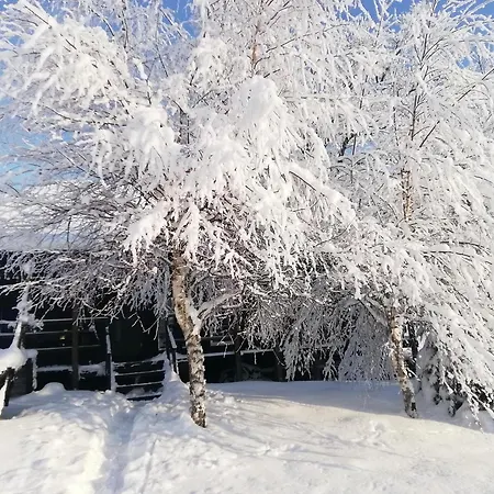 Lili's Holiday House Holiday home Otepaa