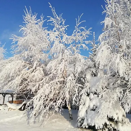 Lili's Holiday House Holiday home *